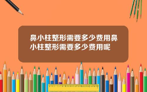 鼻小柱整形需要多少费用鼻小柱整形需要多少费用呢