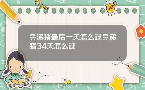 鼻涕猪最后一关怎么过鼻涕猪34关怎么过
