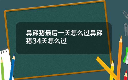 鼻涕猪最后一关怎么过鼻涕猪34关怎么过