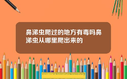 鼻涕虫爬过的地方有毒吗鼻涕虫从哪里爬出来的