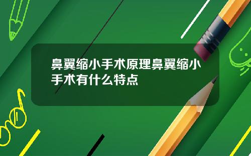 鼻翼缩小手术原理鼻翼缩小手术有什么特点