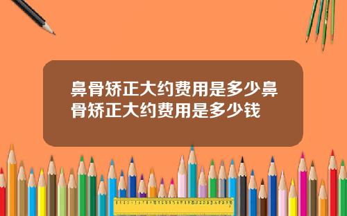 鼻骨矫正大约费用是多少鼻骨矫正大约费用是多少钱