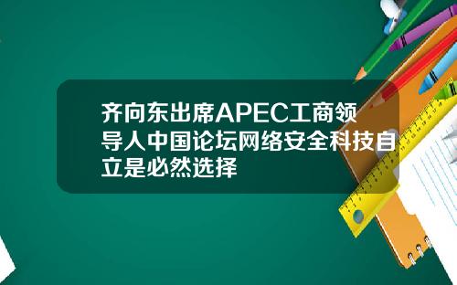 齐向东出席APEC工商领导人中国论坛网络安全科技自立是必然选择
