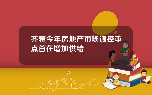 齐骥今年房地产市场调控重点首在增加供给