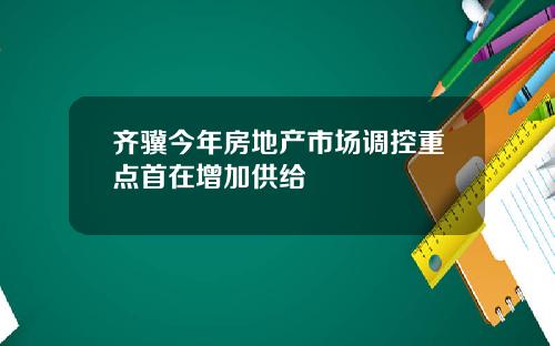 齐骥今年房地产市场调控重点首在增加供给