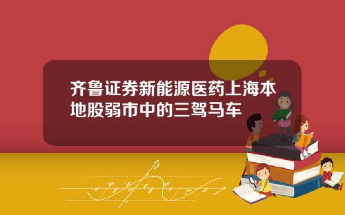 齐鲁证券新能源医药上海本地股弱市中的三驾马车
