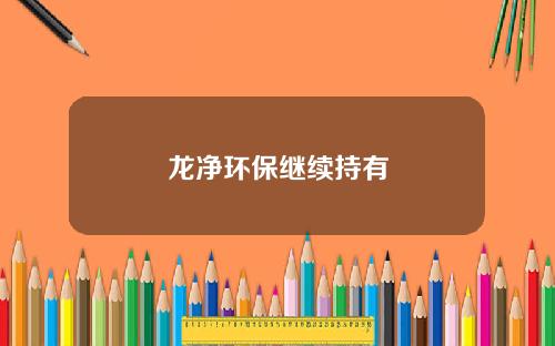 龙净环保继续持有
