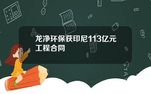龙净环保获印尼113亿元工程合同