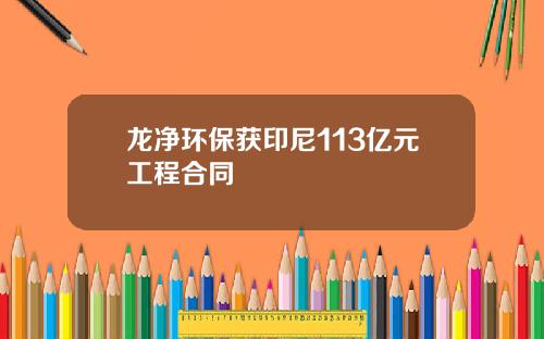 龙净环保获印尼113亿元工程合同