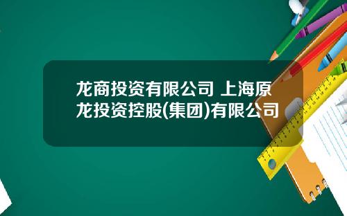 龙商投资有限公司 上海原龙投资控股(集团)有限公司