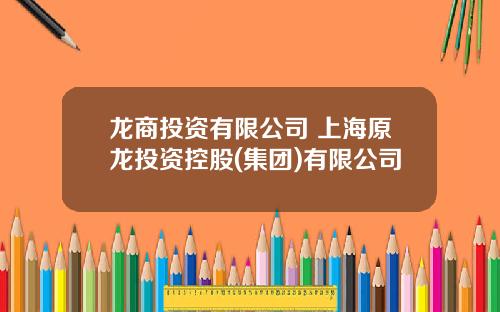 龙商投资有限公司 上海原龙投资控股(集团)有限公司
