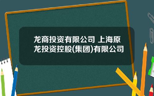龙商投资有限公司 上海原龙投资控股(集团)有限公司