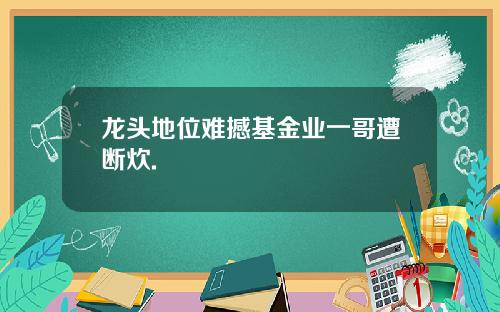 龙头地位难撼基金业一哥遭断炊.