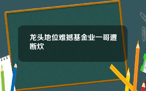 龙头地位难撼基金业一哥遭断炊