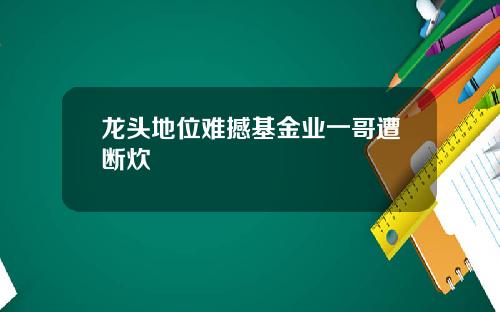 龙头地位难撼基金业一哥遭断炊