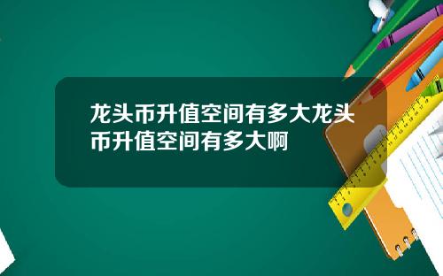 龙头币升值空间有多大龙头币升值空间有多大啊
