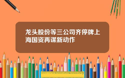 龙头股份等三公司齐停牌上海国资再谋新动作