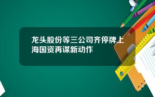 龙头股份等三公司齐停牌上海国资再谋新动作