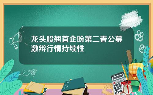 龙头股翘首企盼第二春公募激辩行情持续性