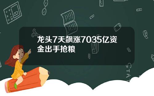 龙头7天飙涨7035亿资金出手抢粮