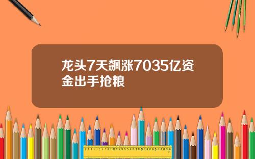 龙头7天飙涨7035亿资金出手抢粮
