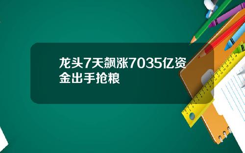 龙头7天飙涨7035亿资金出手抢粮