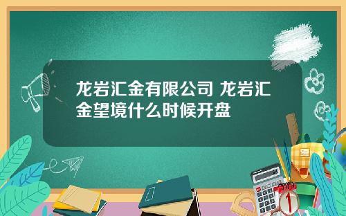 龙岩汇金有限公司 龙岩汇金望境什么时候开盘
