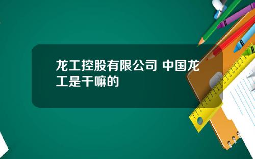 龙工控股有限公司 中国龙工是干嘛的