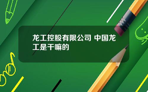 龙工控股有限公司 中国龙工是干嘛的