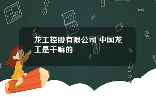 龙工控股有限公司 中国龙工是干嘛的