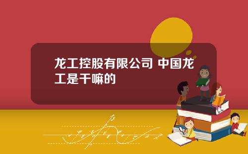 龙工控股有限公司 中国龙工是干嘛的
