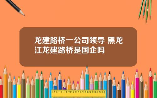 龙建路桥一公司领导 黑龙江龙建路桥是国企吗