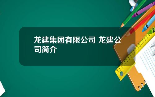 龙建集团有限公司 龙建公司简介