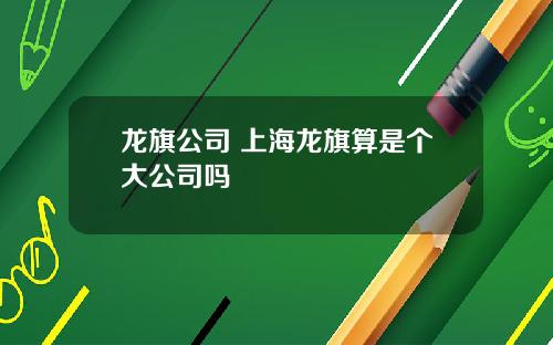 龙旗公司 上海龙旗算是个大公司吗