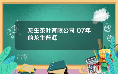 龙生茶叶有限公司 07年的龙生普洱
