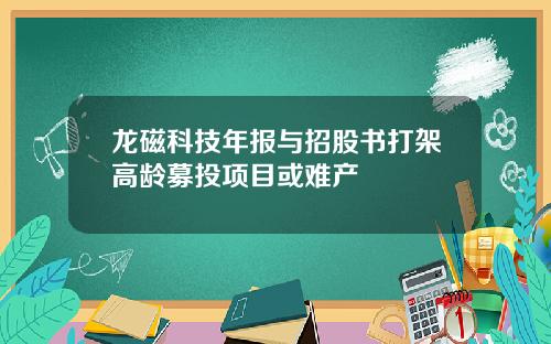 龙磁科技年报与招股书打架高龄募投项目或难产