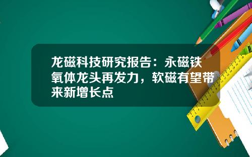 龙磁科技研究报告：永磁铁氧体龙头再发力，软磁有望带来新增长点
