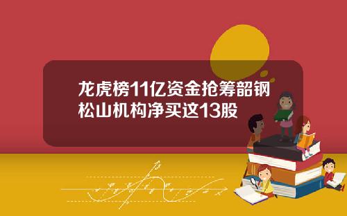 龙虎榜11亿资金抢筹韶钢松山机构净买这13股