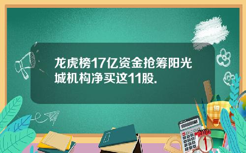 龙虎榜17亿资金抢筹阳光城机构净买这11股.
