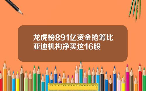 龙虎榜891亿资金抢筹比亚迪机构净买这16股