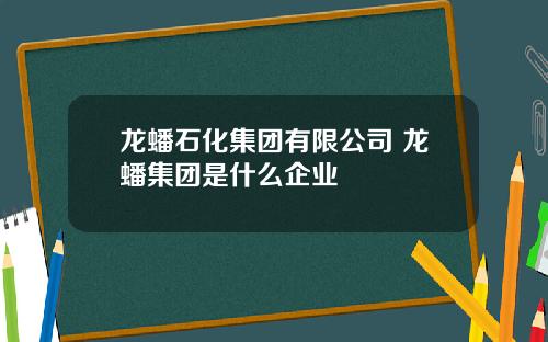 龙蟠石化集团有限公司 龙蟠集团是什么企业