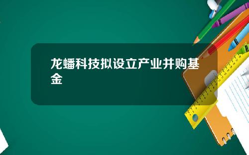 龙蟠科技拟设立产业并购基金
