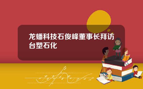 龙蟠科技石俊峰董事长拜访台塑石化 