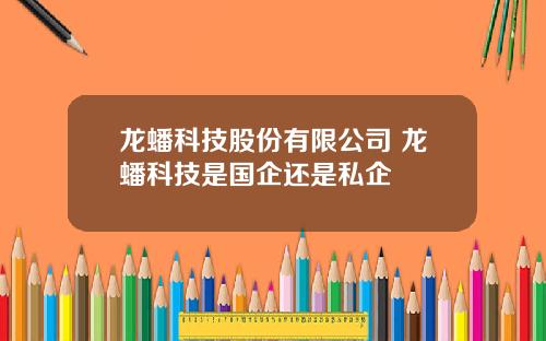龙蟠科技股份有限公司 龙蟠科技是国企还是私企