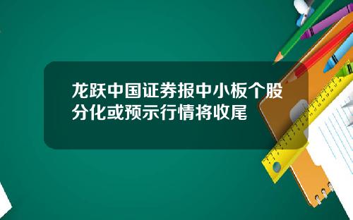 龙跃中国证券报中小板个股分化或预示行情将收尾