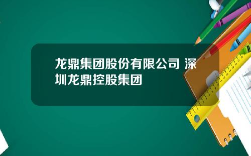 龙鼎集团股份有限公司 深圳龙鼎控股集团