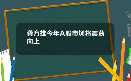 龚方雄今年A股市场将震荡向上