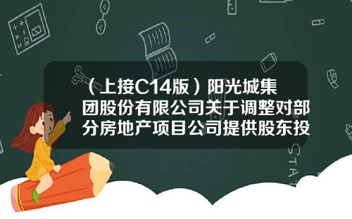 （上接C14版）阳光城集团股份有限公司关于调整对部分房地产项目公司提供股东投入以及与合作方根据股权比例调用控股子公司富余资金额度事项的公告（下转C16版）-上海柏瑞涂料有限公司