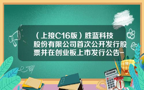 （上接C16版）胜蓝科技股份有限公司首次公开发行股票并在创业板上市发行公告-源乘一号基金