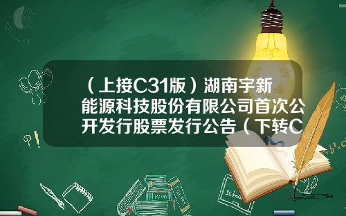 （上接C31版）湖南宇新能源科技股份有限公司首次公开发行股票发行公告（下转C33版）-敦化市瑞隆药业有限公司